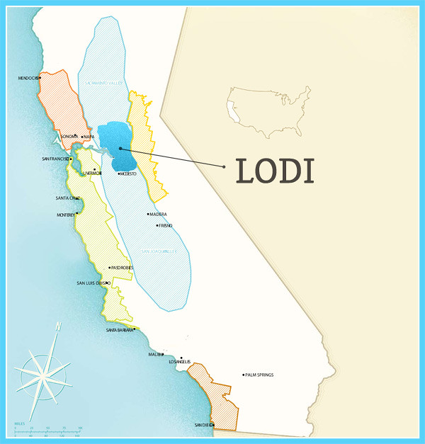 Vung-Lodi-California-My